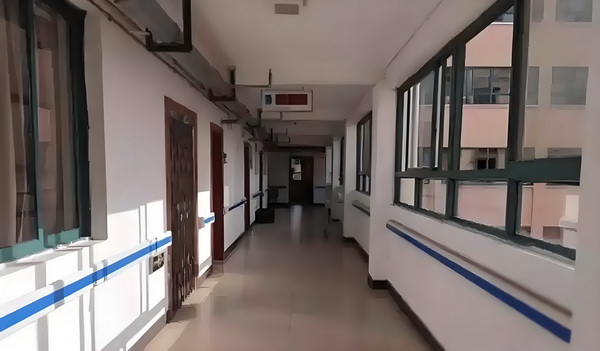掌中画境
